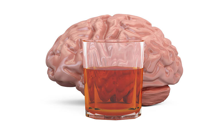 Alcohol and the Brain: The Effects