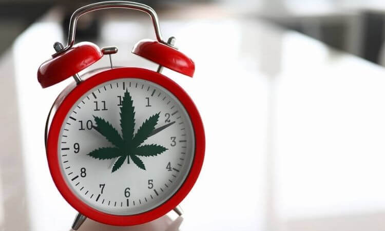 How Long Does THC Stay in Your System?